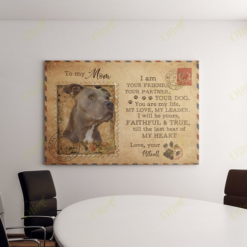 Pit Bull - Letter To My Mom And Canvas Art Wall Decor