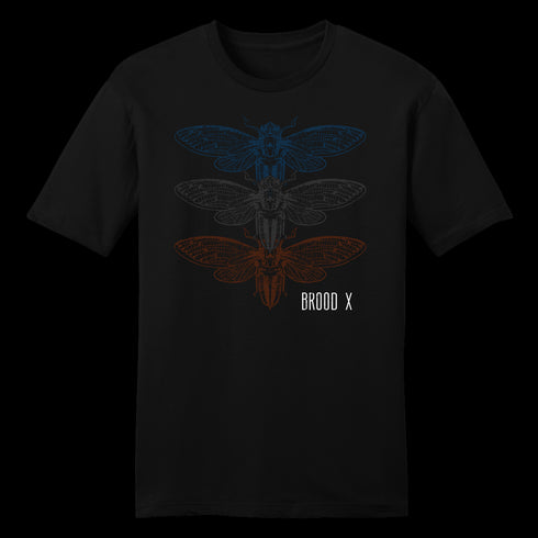 Divesart - Cicadas Brood X