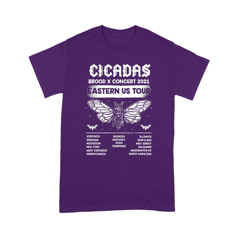 Divesart - Cicadas Brood x Concert 2021 Eastern US Tour Test Standard T-shirt