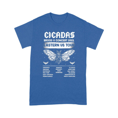 Divesart - Cicadas Brood x Concert 2021 Eastern US Tour Test Standard T-shirt