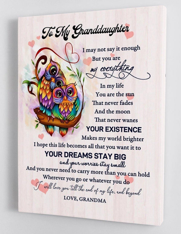 To My Granddaughter - From Grandma - Framed Canvas Gift GMD039 - DivesArt LLC