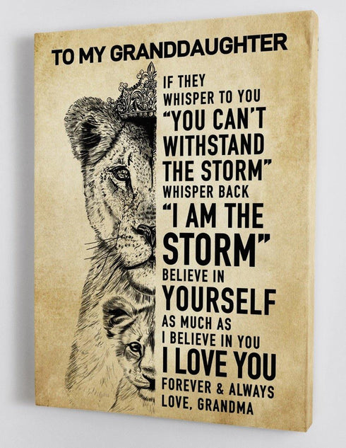 To My Granddaughter - From Grandma - Framed Canvas Gift GMD034 - DivesArt LLC