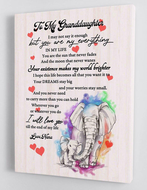 To My Granddaughter - From Nana - Elephant Framed Canvas Gift GMD029 - DivesArt LLC